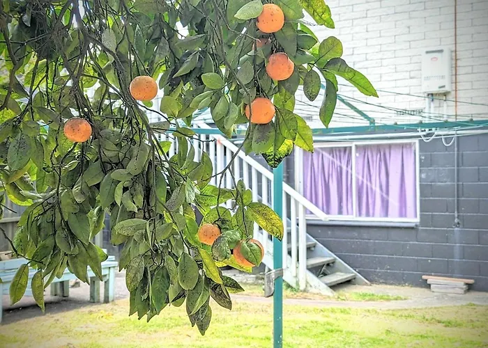 4 Bedrooms Escape, Close To Cbd *
